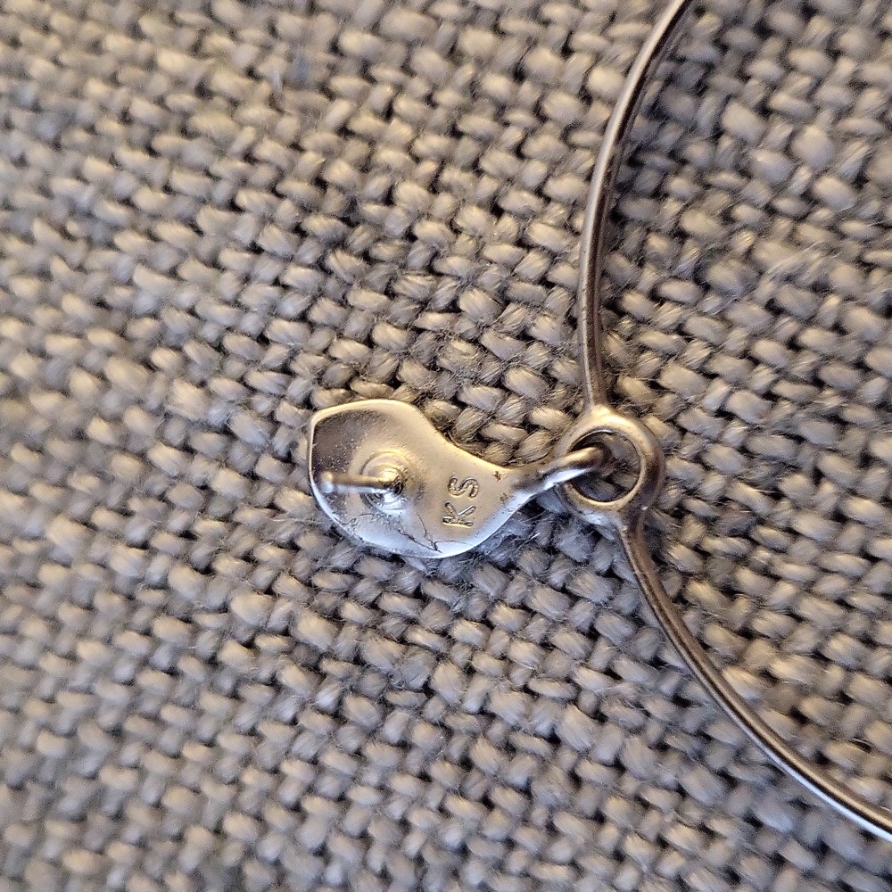 Kendra Scott "Natasha" Hoop Earrings in Matte Silver - Picture 3 of 3
